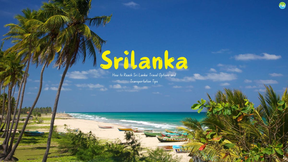 Kandy to Colombo The Soul of Sri Lanka